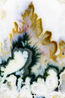Images Dated 4th December 2012: Agate in colorful design, Sammamish WA