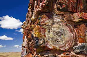 Uninhabited Prints: Agate House, Petrified Forest National Park, Arizona, USA