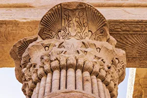 Egypt Prints: Agilkia Island, Aswan, Egypt. Capital of a column carved like a palm
