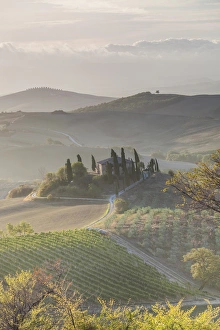 Quaint Prints: Agricultural landscape, Val daaOrcia, Tuscany, Italy
