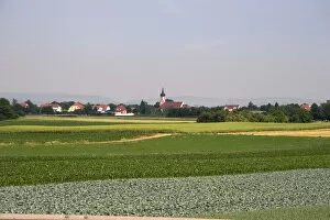 Agriculture near Strasbourg, Eastern France. france, french, europe, european