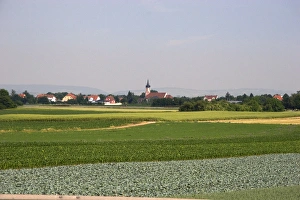 Images Dated 17th June 2006: Agriculture near Strasbourg, Eastern France. france, french, europe, european