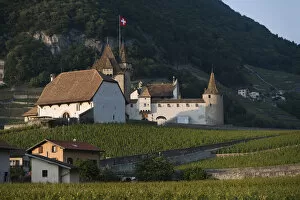Aigle Castle, vineyards, Vaud, Switzerland