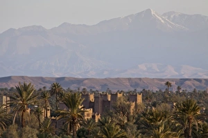Oasis Prints: Ait Ben Moro, Ouarzazate, Morocco
