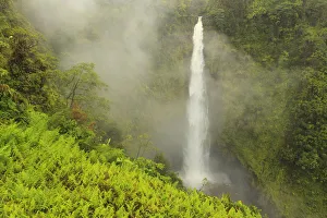 Big Island Prints: Akaka Falls, 442 feet high, Akaka Falls State Park, Hamakua Coast, Big Island, Hawaii