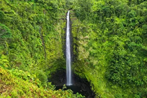 Images Dated 3rd November 2012: Akaka Falls, Akaka Falls State Park, Hamakua Coast, Big Island, Hawaii, USA