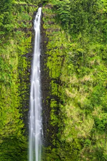 Images Dated 3rd November 2012: Akaka Falls, Akaka Falls State Park, Hamakua Coast, Big Island, Hawaii, USA