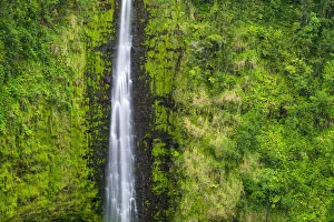 Images Dated 3rd November 2012: Akaka Falls, Akaka Falls State Park, Hamakua Coast, Big Island, Hawaii, USA