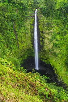 Akaka Falls, Akaka Falls State Park, Hamakua Coast, Big Island, Hawaii, USA