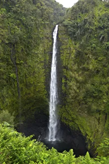 Gayle Harper Prints: Akaka Falls, Hawaii, Big Island