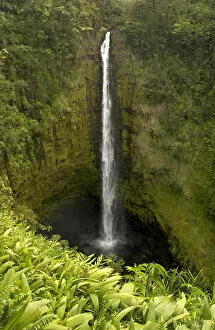 Akaka Falls, north of Hilo, on the Big Island of Hawaii