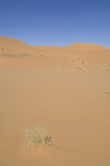 Images Dated 12th May 2007: Akakus, Sahara desert, Fezzan, Libya