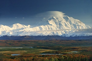 Images Dated 31st August 2007: AKS-6 Denali (Mount McKinley) and autumn foliage, Denali National Park, Alaska