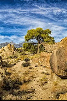 Images Dated 22nd May 2017: Alabama Hills; California; USA; Long Pine