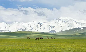 Tajikistan Prints: The Alaj valley with the Transalai mountains in the background. The Pamir Mountains
