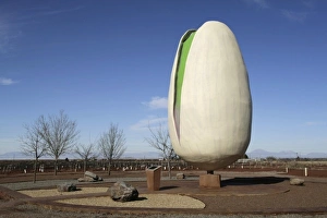 Giant Prints: Alamogordo, New Mexico. United States. Pistachio farm and home of the world s