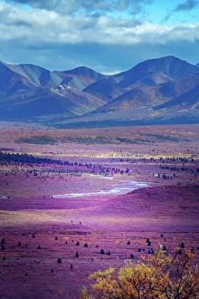 Janet Muir Prints: Alaska, Denali National Park. Autumn landscape of valley and mountains