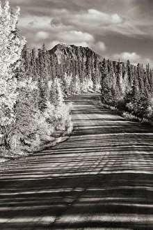 Rustic Prints: Alaska, Denali National Park. Road winding through Denali