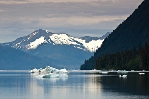 Images Dated 24th May 2010: Alaska. Iceberg in LeConte Bay, Southeast Alaska