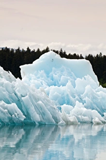 Images Dated 24th May 2010: Alaska. Iceberg in LeConte Bay, Southeast Alaska