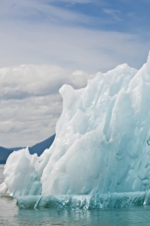 Images Dated 24th May 2010: Alaska. Iceberg in LeConte Bay, Southeast Alaska
