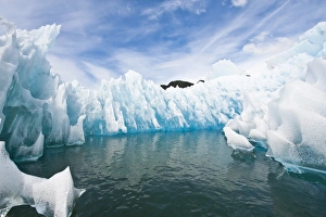 Images Dated 24th May 2010: Alaska. Iceberg in LeConte Bay, Southeast Alaska