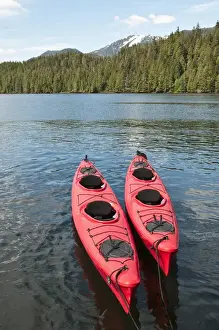 Images Dated 26th May 2010: Alaska. Kayaking in Yes Bay, the Cleveland Peninsula region of Southeast Alaska