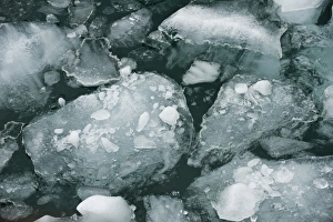 Images Dated 24th May 2010: Alaska. LeConte Bay, Southeast Alaska