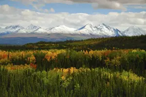 Painterly Prints: Alaska Range in Autumn; Denali National Park; Alaska; USA