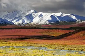 Images Dated 28th August 2012: Alaska Range; Autumn; Taiga; Denali National Park; Alaska; USA
