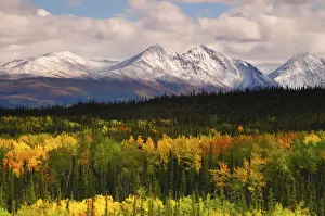 Alaska Range in Autumn; Taiga; Tundra; Denali National Park; Alaska