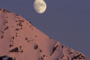 Alaska, Turnagain Arm Moon rises over snow-covered Kenai Mountains