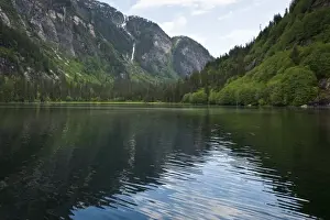 Images Dated 27th May 2010: Alaska. Walker Cove area of Misty Fjords National Monument Wilderness Area
