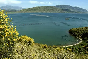 Images Dated 31st July 2009: Albania, Butrint, Butrint National park, Butrint lake