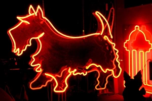Albuquerque, New Mexico, United States. Route 66 neon sign