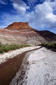 James Kay Prints: Alkaline-encrusted streambed near Old Paria Townsite in Grand Staircase Escalante National Monument