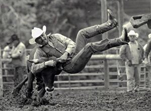Black and White Collection: All Indian Rodeo in Tygh Valley, Oregon. Clint Bruisehead of Warm Springs tribe bulldogs this cow