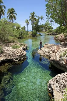 Images Dated 4th May 2006: Alligator Hole, Black River Town, Jamaica South Coast