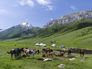 Heavenly Mountain Prints: Alpe with Yurt and horses, the mares are used for milking