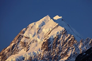 Images Dated 2nd October 2010: Alpenglow on Aoraki Mount Cook, Mackenzie Country, South Canterbury, South Island