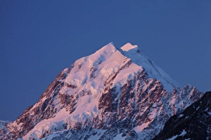 Alpenglow on Aoraki Mount Cook, Mackenzie Country, South Canterbury, South Island