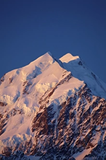 Images Dated 2nd October 2010: Alpenglow on Aoraki Mount Cook, Mackenzie Country, South Canterbury, South Island