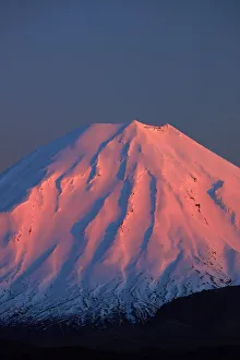 North Island Prints: Alpenglow on Mt. Ngauruhoe at dawn, Tongariro National Park, Central Plateau, North Island