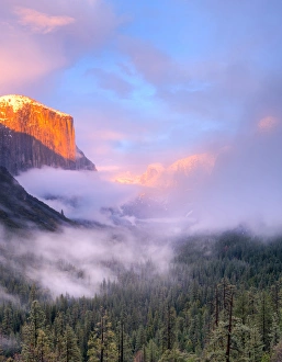 Snowing Prints: Alpenglow. Sunset colors the top of El Capitan. Yosemite, California, USA