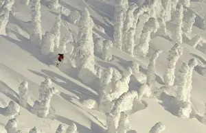 Alpine Skier in thick snowghosts at Big Mountain Resort in Whitefish, Montana. (MR)