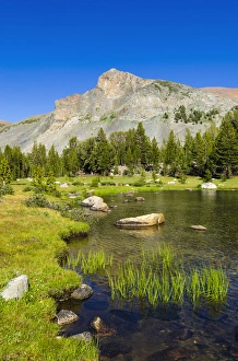 Images Dated 18th August 2011: Alpine tarn in Dana Meadows under Mount Dana, Tuolumne Meadows, Yosemite National Park