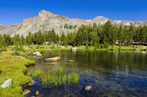 Active Prints: Alpine tarn in Dana Meadows under Mount Dana, Tuolumne Meadows, Yosemite National Park