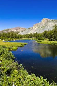 Images Dated 18th August 2011: Alpine tarn in Dana Meadows under Mount Dana, Tuolumne Meadows, Yosemite National Park