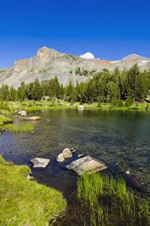 Images Dated 18th August 2011: Alpine tarn in Dana Meadows under Mount Dana, Tuolumne Meadows, Yosemite National Park