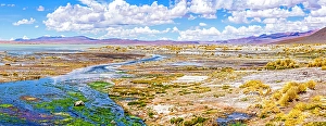 Bolivia Prints: Altiplano, Bolivia